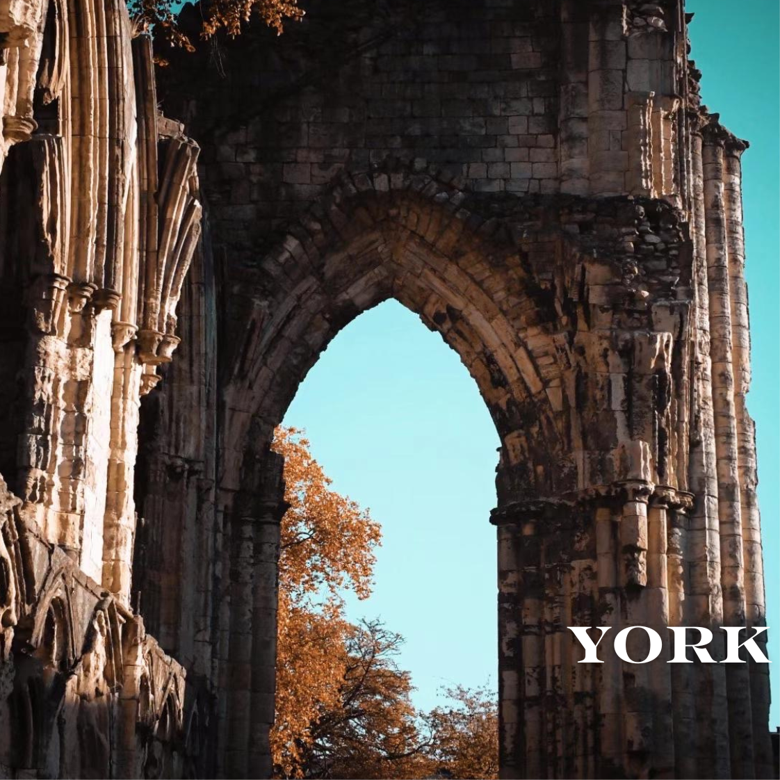 York City Walls – Scenic Photo Coaster
